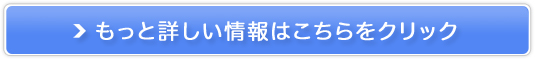 �p���[�X�g�[�� �V�R�Δ̔��T�C�g��